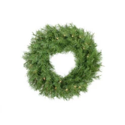 Northlight Pre-Lit Northern Frasier Fir Artificial Christmas Wreath - 24-Inch, Clear Lights