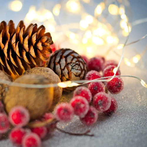 Northlight 100 Warm White LED Micro Fairy Lights - 16.25 Ft Copper Wire - Image 5