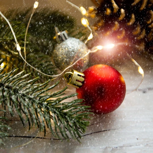 Northlight 100 Warm White LED Micro Fairy Lights - 16.25 Ft Copper Wire - Image 3