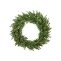 Northlight Pre-Lit Essex Pine Artificial Christmas Wreath - 24-Inch, Clear Lights