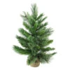 Northlight 2' Potted Mixed Cashmere Pine Medium Artificial Christmas Tree, Unlit