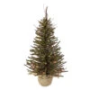 Northlight 2.5' Pre-Lit Warsaw Two-Tone Twig Artificial Christmas Tree - Clear Lights