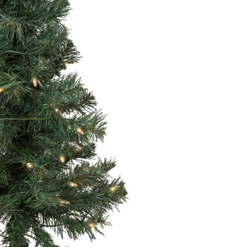 Northlight 3' Pre-Lit Green Medium Blackwater Fir Artificial Christmas Tree - Clear Lights - Image 3