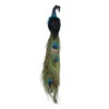 Northlight 13" Green And Dark Blue Peacock Clip-On Christmas Ornament