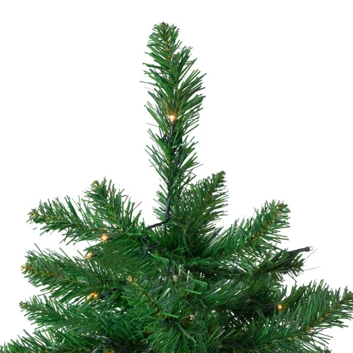 Northlight 6.5' Pre-Lit Twin Lakes Fir Artificial Christmas Tree - Warm White LED Lights - Image 4