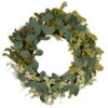 Northlight Berries And Leaves Twig Artificial Wreath, Green 24-Inch