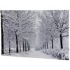 Northlight Fiber Optic Lighted Winter Lane Snowfall Christmas Canvas Wall Art 23.5" X 15.75"