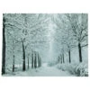 Northlight LED Lighted Fiber Optic Twinkling Snow Covered Tree Scene Canvas Wall Art 15.75" X 11.75"