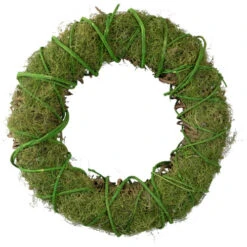 Northlight Moss And Vine Artificial Spring Twig Wreath, 15-Inch, Unlit