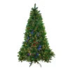 Northlight 6.5' Pre-Lit Medium Huron Pine Artificial Christmas Tree - Multicolor Lights
