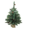 Northlight 3' Potted Royal Oregon Pine Burlap Base Full Artificial Christmas Tree - Unlit