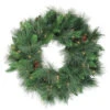 Northlight Pre-Lit White Valley Pine Artificial Christmas Wreath, 24-Inch, Clear Lights