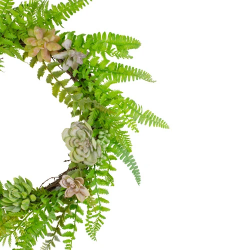 Northlight Succulents And Foliage Artificial Spring Twig Wreath, Green - 22-Inch - Image 3