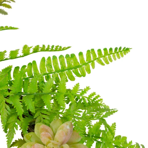 Northlight Succulents And Foliage Artificial Spring Twig Wreath, Green - 22-Inch - Image 4