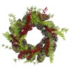 Northlight Frosted Pine Cones And Berries Artificial Christmas Wreath - 18-Inch, Unlit