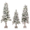 Northlight Set Of 3 Slim Flocked Alpine Artificial Christmas Trees 5' - Unlit
