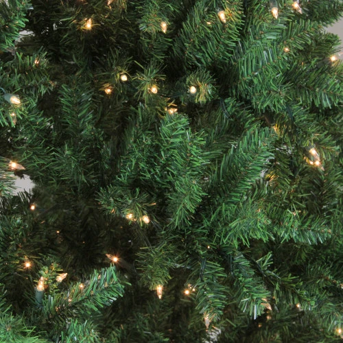 Northlight 9.5' Pre-Lit Full Buffalo Fir Artificial Christmas Tree - Clear Lights - Image 2
