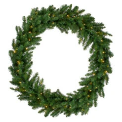 Northlight LED Lighted Buffalo Fir Artificial Christmas Wreath - 48-Inch, Warm White Lights