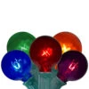 Northlight 20-Count Multicolor Transparent G40 Globe Christmas Light Set, 19ft Green Wire