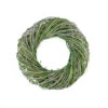 Northlight Moss Twig Artificial Wreath, Green And White 14-Inch