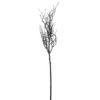 Northlight 43" Brown And White Frosted Artificial Christmas Poplar Tree Branch